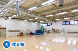 6.体育館
